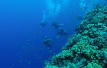 Safari Abu Fandera listopad 2013