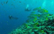 Safari Abu Fandera listopad 2013