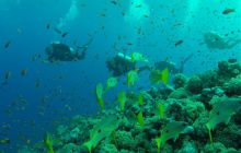 Safari Abu Fandera listopad 2013