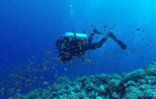 Safari Abu Fandera listopad 2013