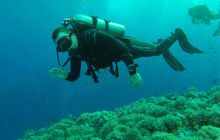 Safari Abu Fandera listopad 2013