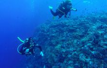 Safari Abu Fandera listopad 2013