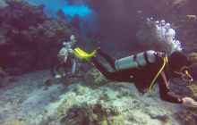 Safari Abu Fandera listopad 2013