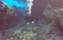 Safari Abu Fandera listopad 2013