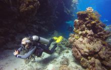 Safari Abu Fandera listopad 2013