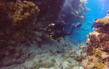 Safari Abu Fandera listopad 2013