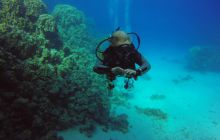 Safari Abu Fandera listopad 2013