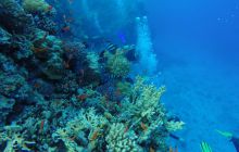 Safari Abu Fandera listopad 2013