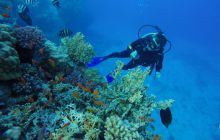 Safari Abu Fandera listopad 2013