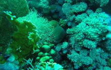 Safari Abu Fandera listopad 2013