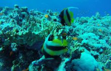 Safari Abu Fandera listopad 2013