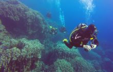 Safari Abu Fandera listopad 2013