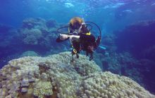 Safari Abu Fandera listopad 2013