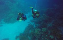 Safari Abu Fandera listopad 2013