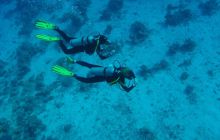 Safari Abu Fandera listopad 2013