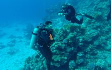 Safari Abu Fandera listopad 2013