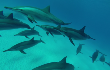 Safari Abu Fandera listopad 2013