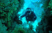 Safari Abu Fandera listopad 2013