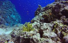 Safari Abu Fandera listopad 2013