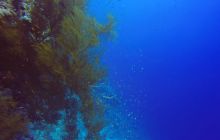 Safari Abu Fandera listopad 2013