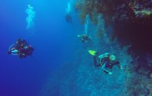 Safari Abu Fandera listopad 2013