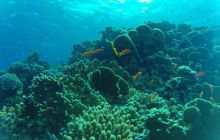 Safari Abu Fandera listopad 2013