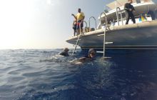 Safari Abu Fandera listopad 2013