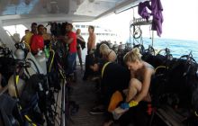 Safari Abu Fandera listopad 2013