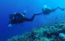 Safari Abu Fandera listopad 2013