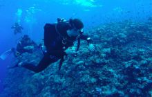 Safari Abu Fandera listopad 2013