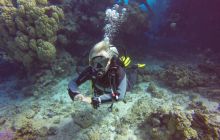 Safari Abu Fandera listopad 2013