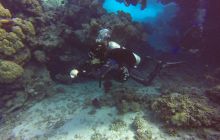 Safari Abu Fandera listopad 2013