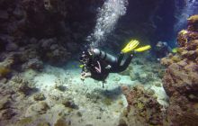 Safari Abu Fandera listopad 2013