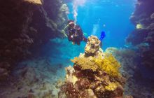 Safari Abu Fandera listopad 2013