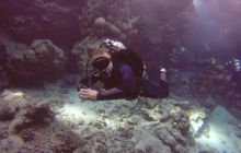 Safari Abu Fandera listopad 2013