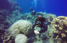 Safari Abu Fandera listopad 2013