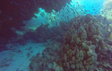 Safari Abu Fandera listopad 2013