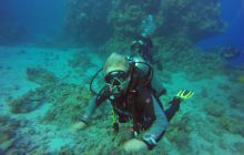 Safari Abu Fandera listopad 2013