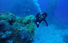 Safari Abu Fandera listopad 2013