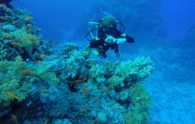 Safari Abu Fandera listopad 2013