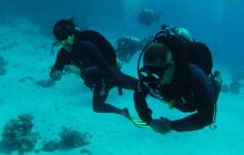 Safari Abu Fandera listopad 2013