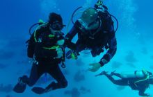 Safari Abu Fandera listopad 2013