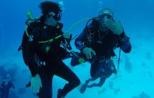 Safari Abu Fandera listopad 2013