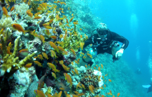 Safari Abu Fandera listopad 2013