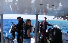 Safaga listopad 2013