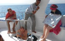 Safaga listopad 2013