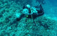 Safaga listopad 2013