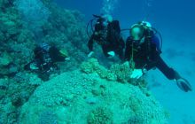 Safaga listopad 2013