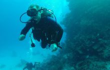 Safaga listopad 2013