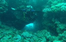 Safaga listopad 2013